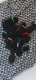 Rottweiler pups te koop in 2825, Berkenwoude - Advertentie 2