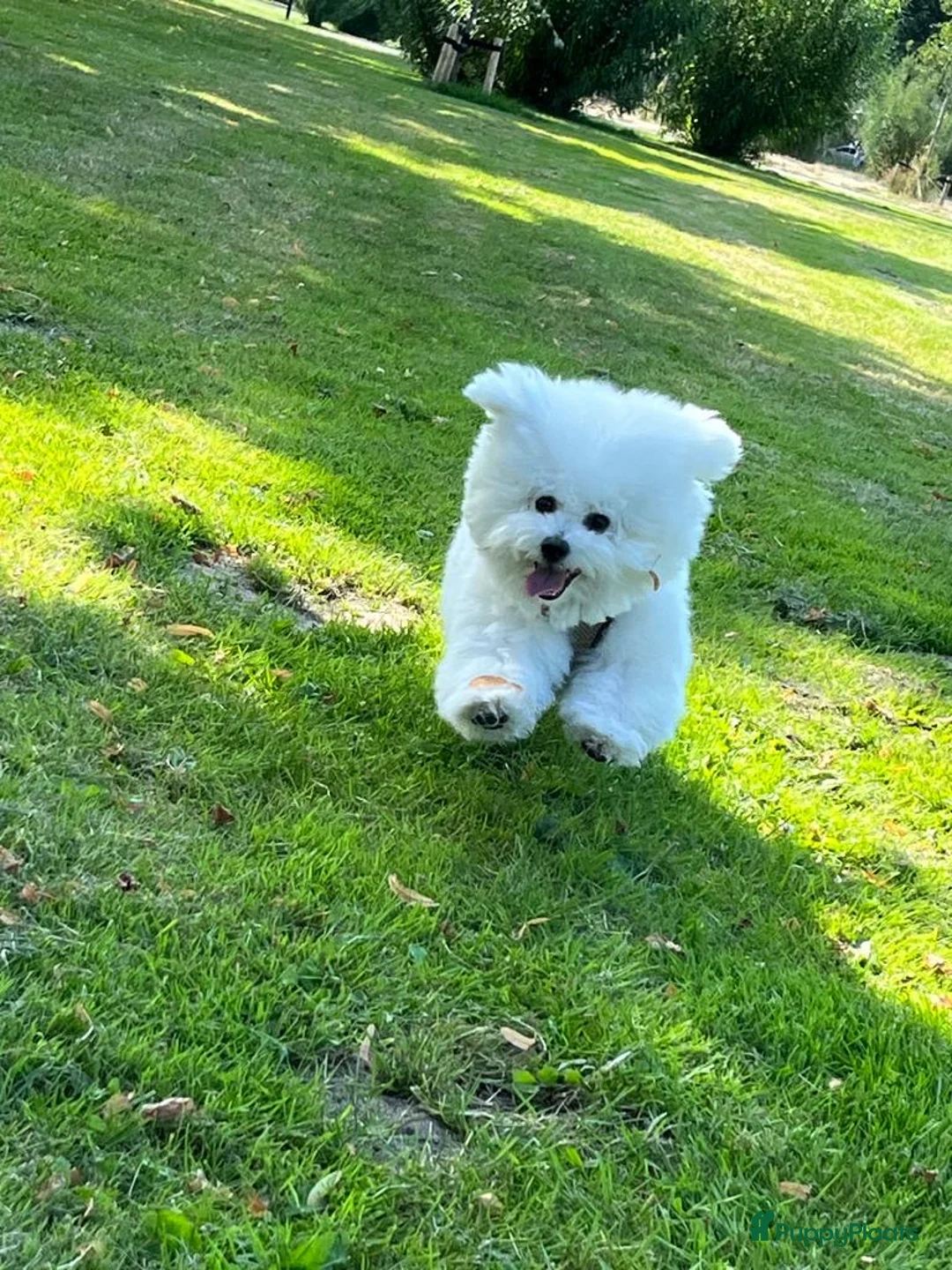 Galerij afbeelding {{count}}