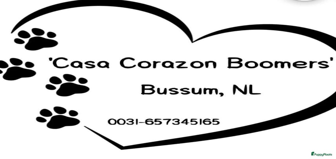 Galerij afbeelding {{count}}