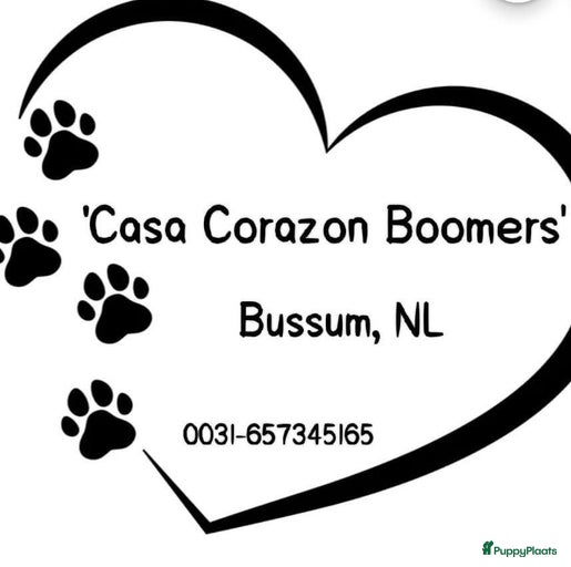 Galerij afbeelding {{count}}