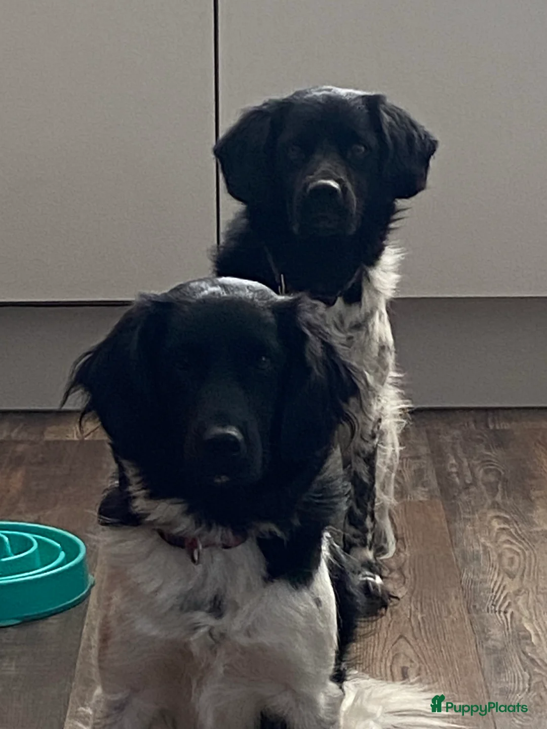 Galerij afbeelding {{count}}