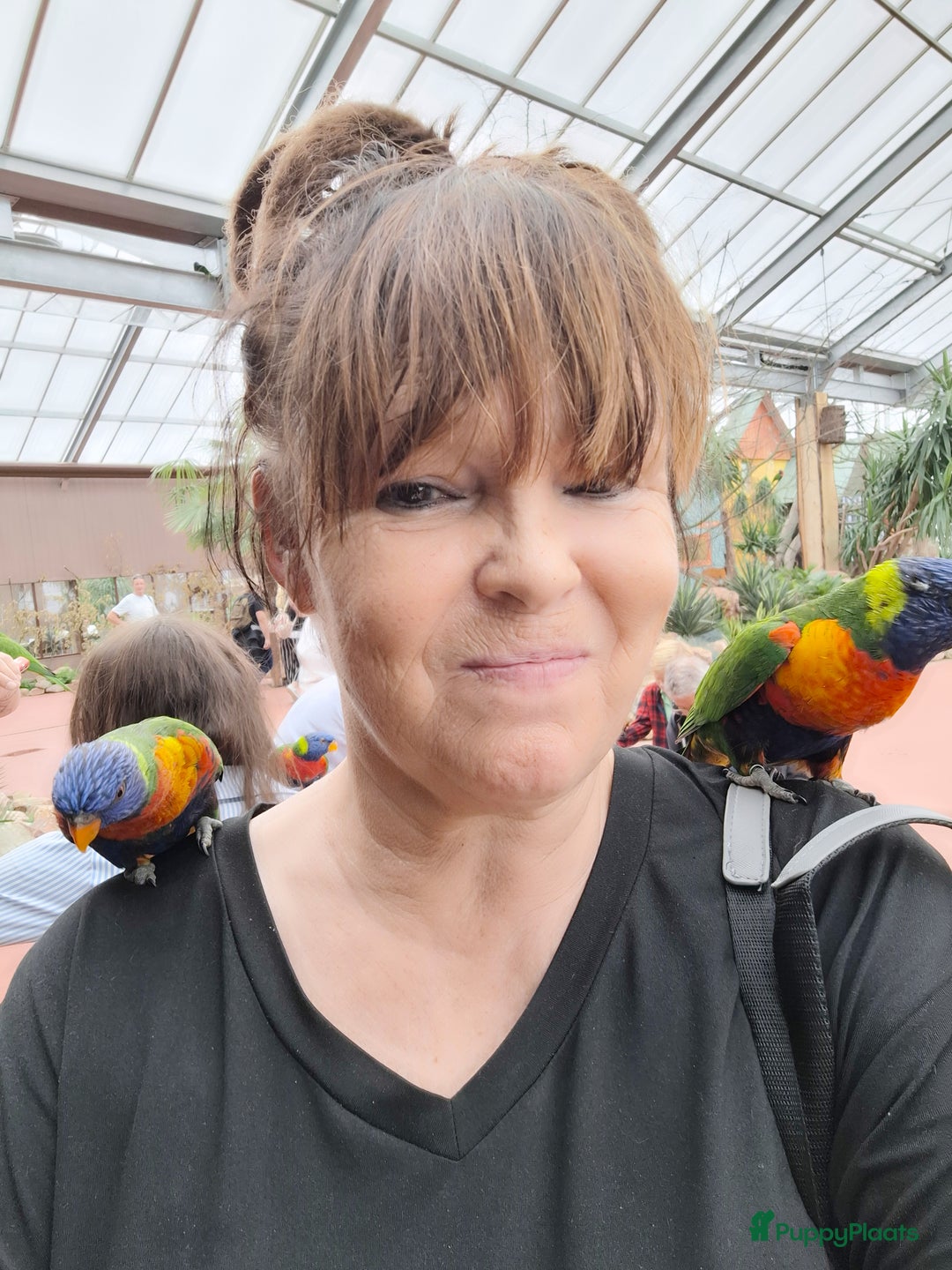 Galerij afbeelding {{count}}