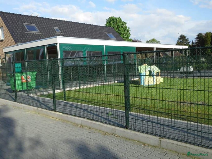 Galerij afbeelding {{count}}