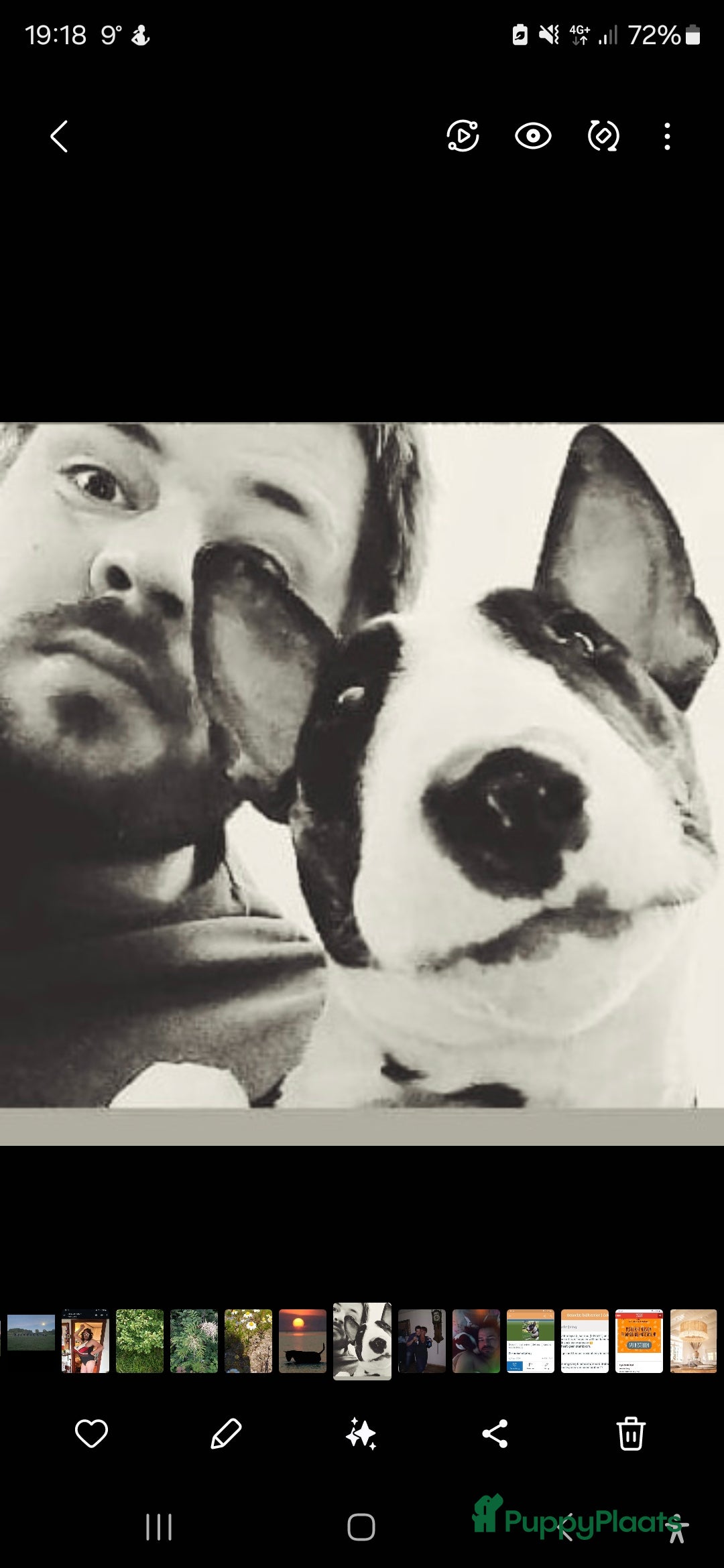 Galerij afbeelding {{count}}