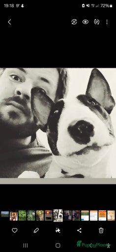 Galerij afbeelding {{count}}