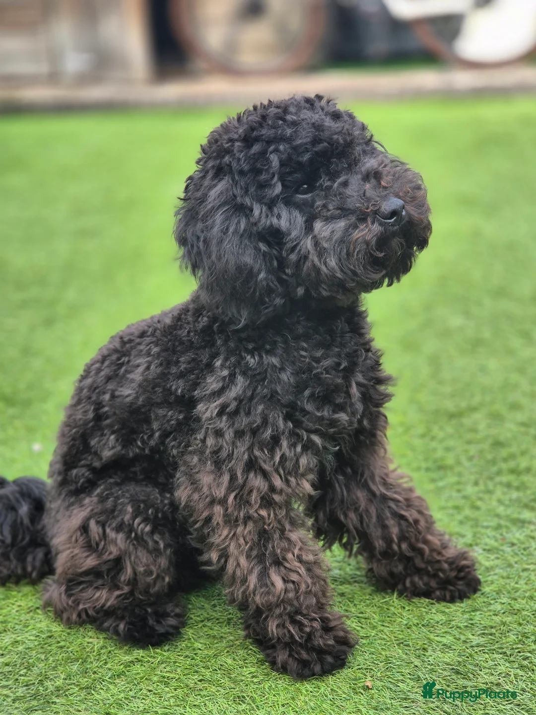 Galerij afbeelding {{count}}