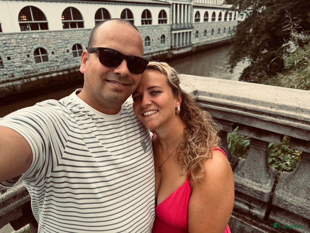 Galerij afbeelding {{count}}