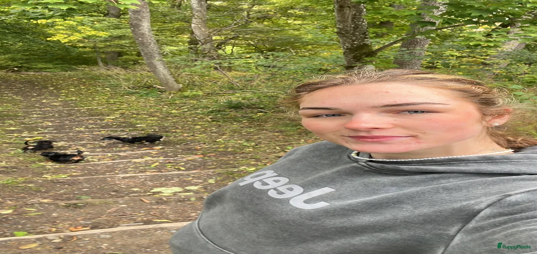 Galerij afbeelding {{count}}