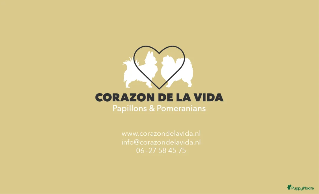 Galerij afbeelding {{count}}