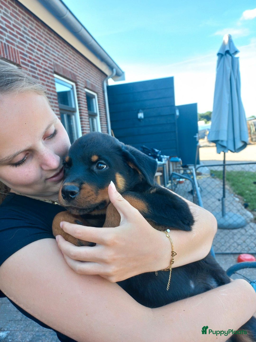 Rottweiler honden te koop: Nog 3 super lieve rottweiler reutjes. - Afbeelding 6