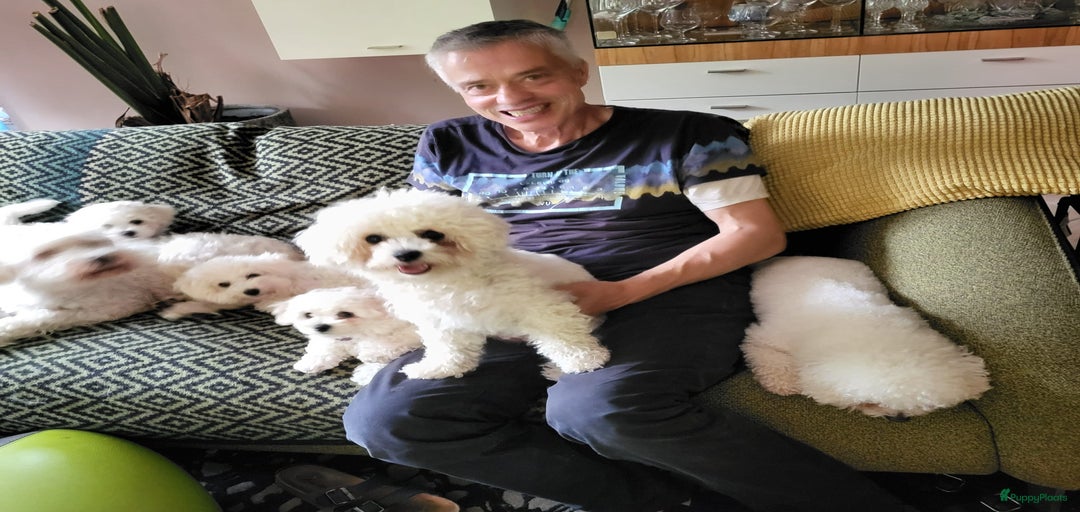 Galerij afbeelding {{count}}