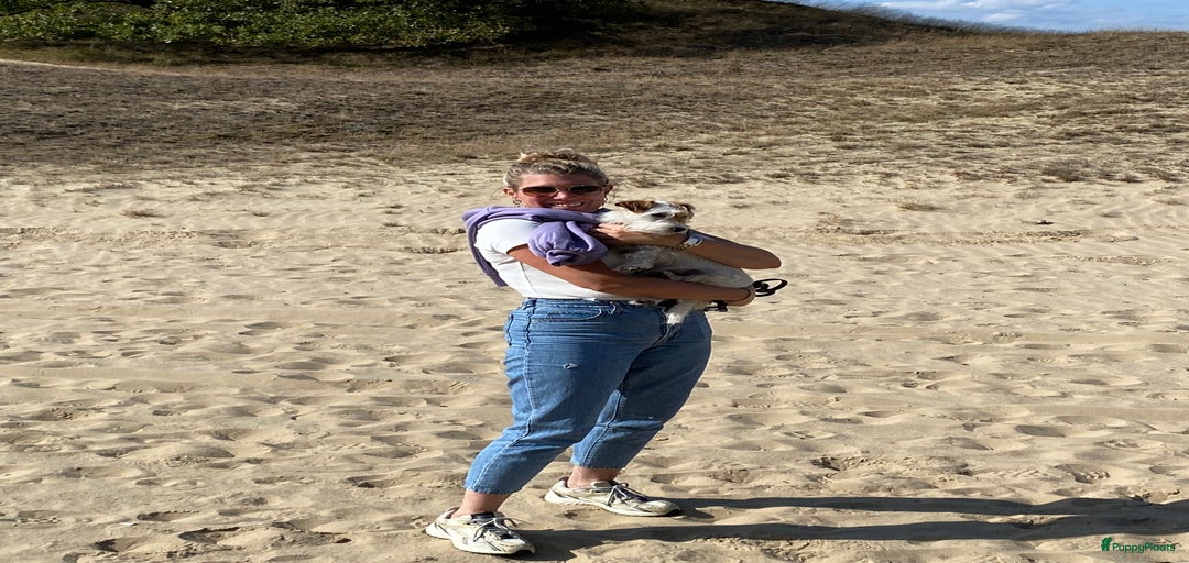 Galerij afbeelding {{count}}