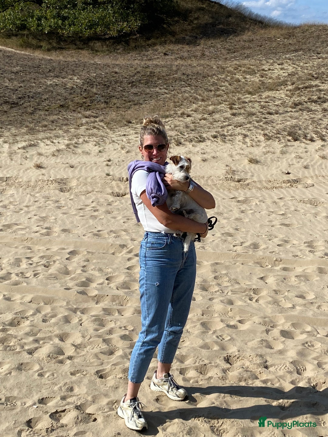 Galerij afbeelding {{count}}