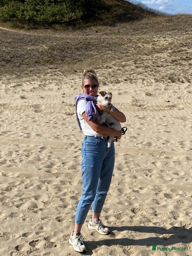 Galerij afbeelding {{count}}