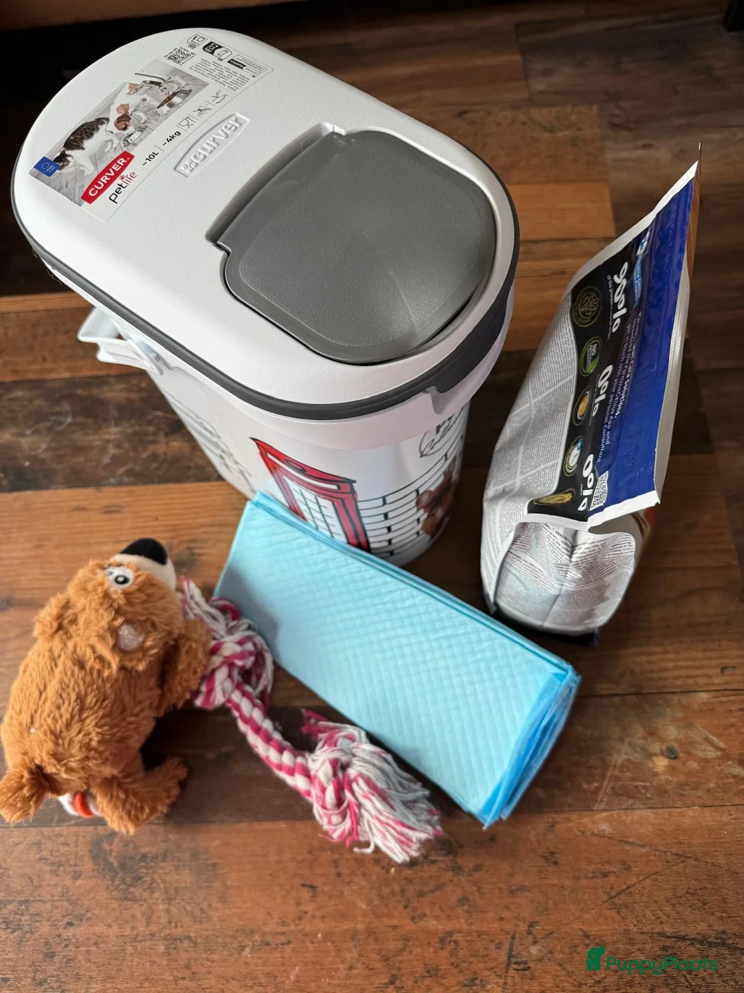 Pomeriaan honden te koop: Prachtige Pomeriaan pups  - Advertentie 2