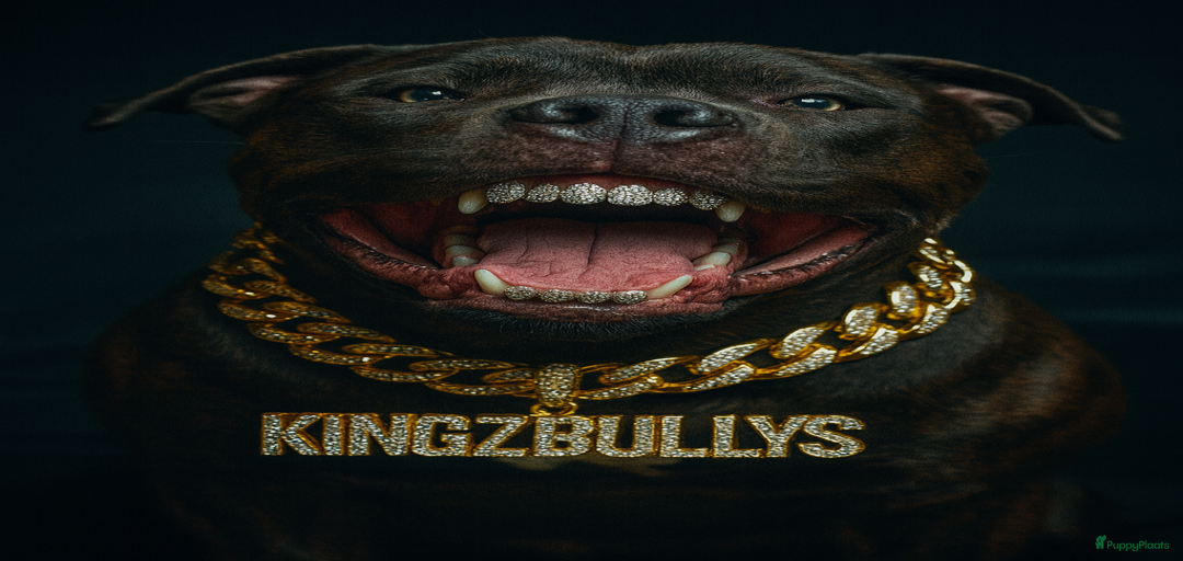 Galerij afbeelding {{count}}