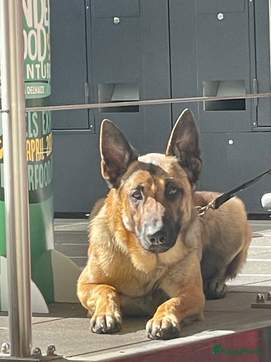 Galerij afbeelding {{count}}