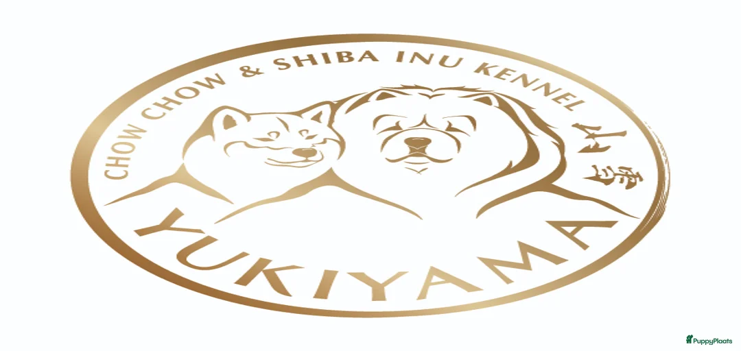 Galerij afbeelding {{count}}