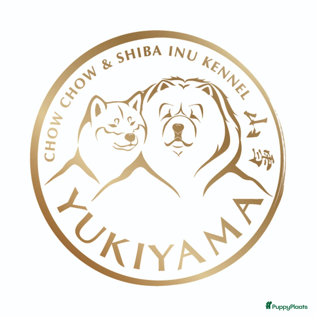 Galerij afbeelding {{count}}