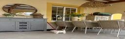 Poedel Toy honden te koop: Toy poedelpups in Bussum - Advertentie 3