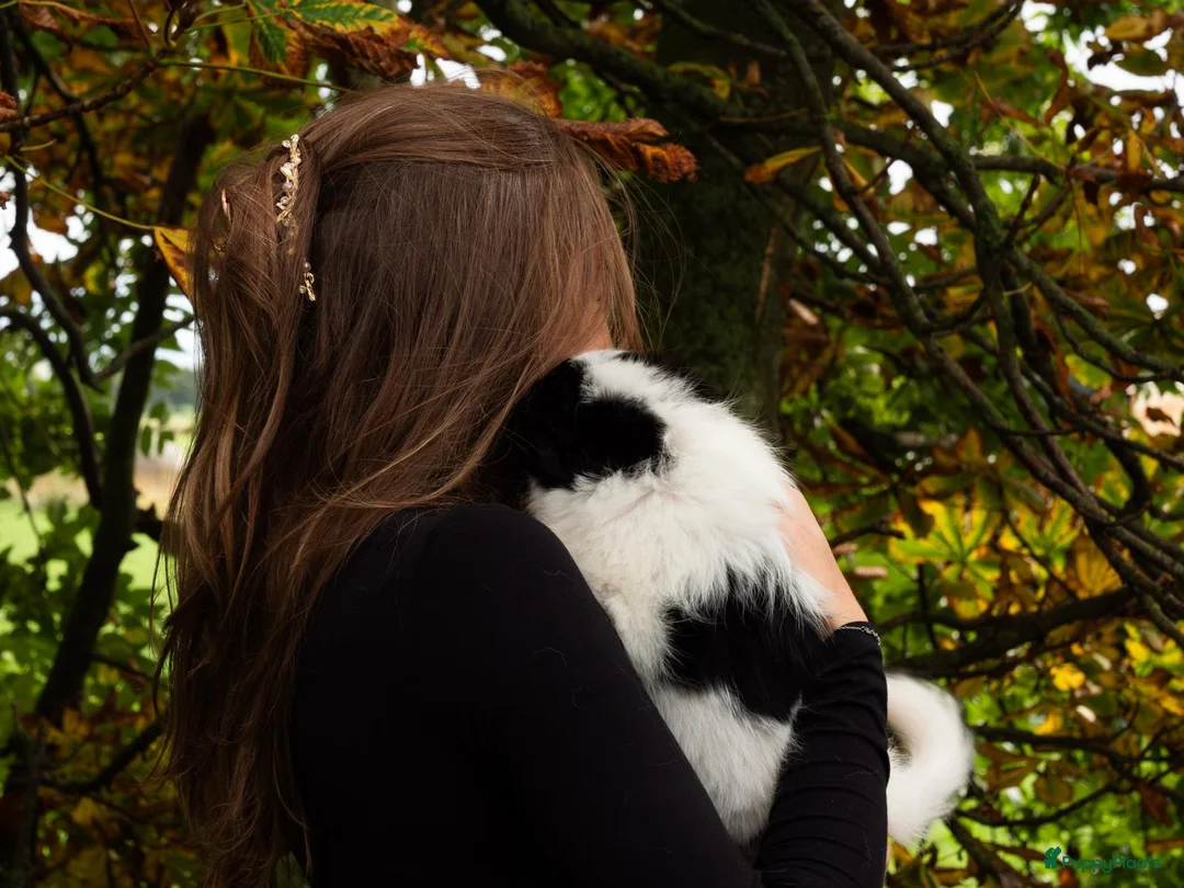 Galerij afbeelding {{count}}