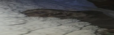 Teckel (korthaar)  2