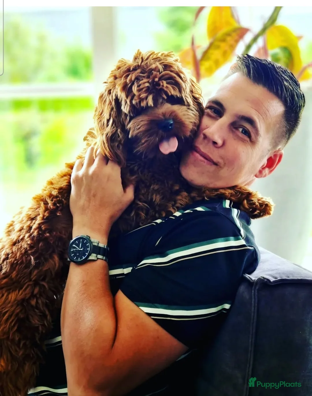 Galerij afbeelding {{count}}