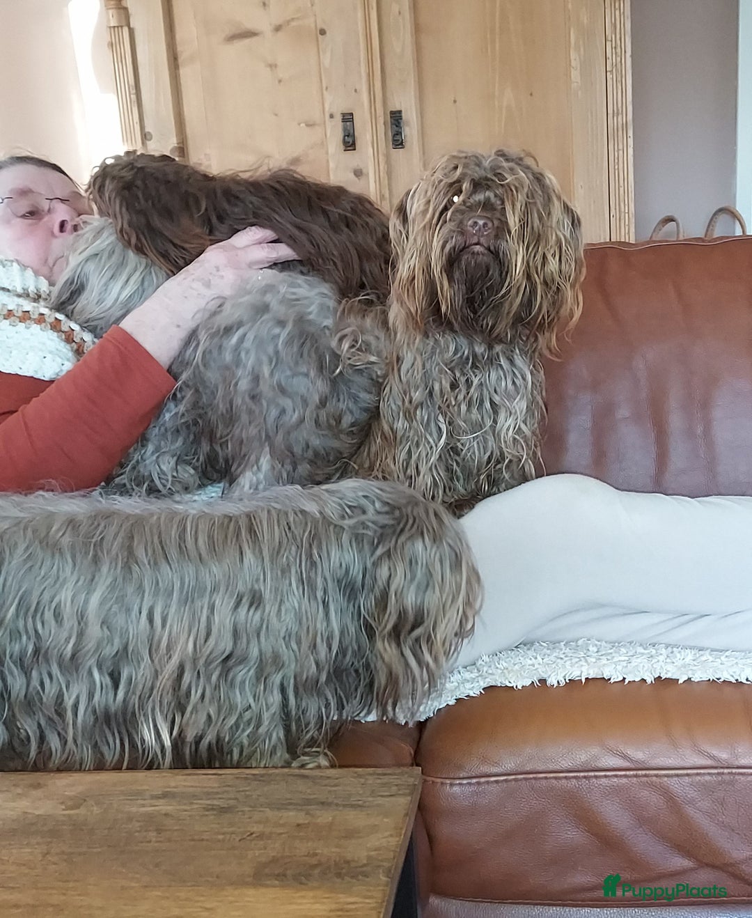 Galerij afbeelding {{count}}