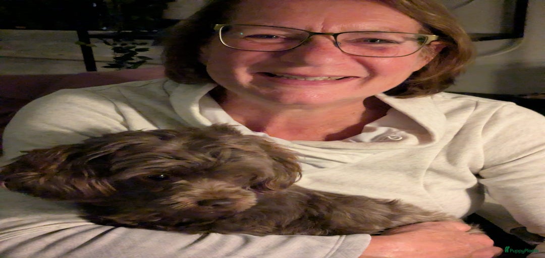 Galerij afbeelding {{count}}