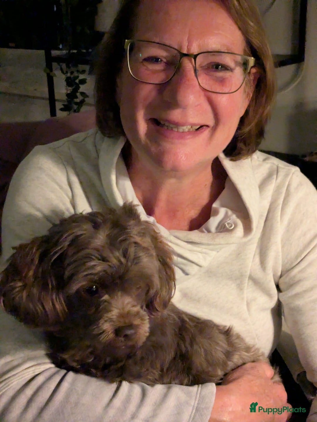 Galerij afbeelding {{count}}