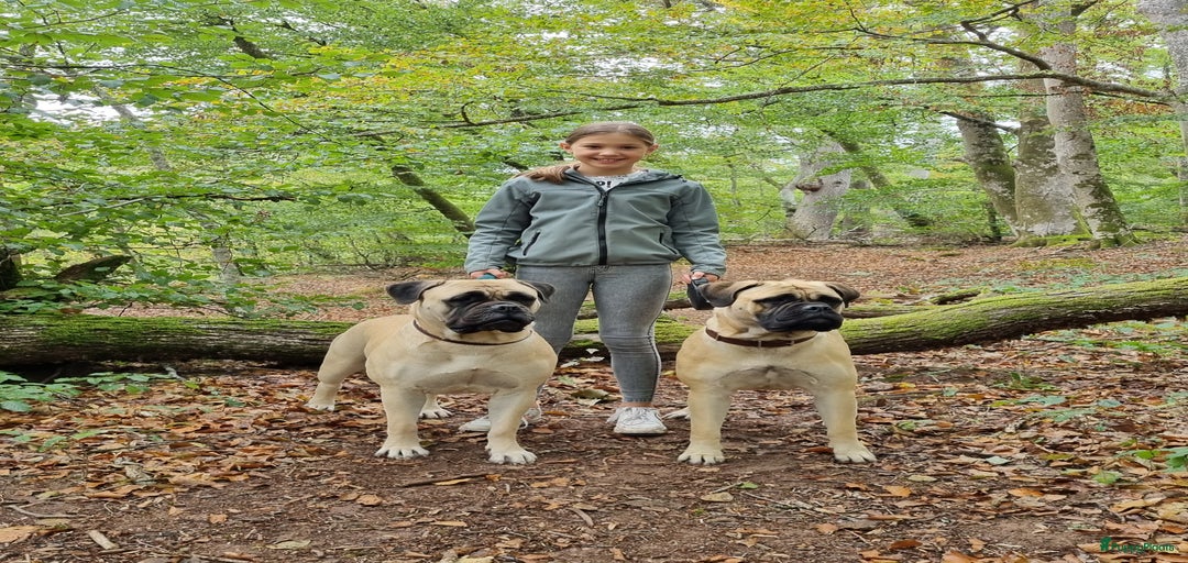 Galerij afbeelding {{count}}