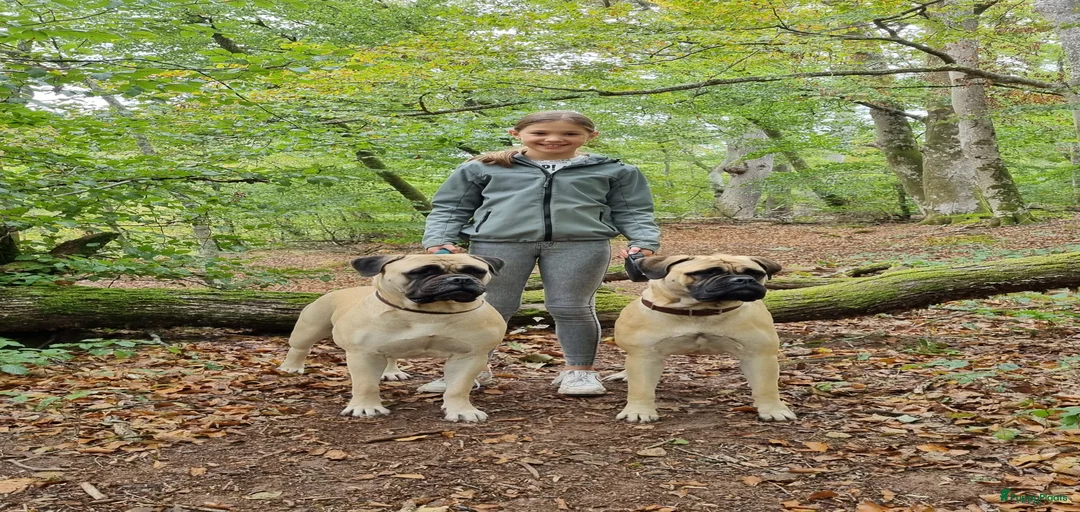 Galerij afbeelding {{count}}