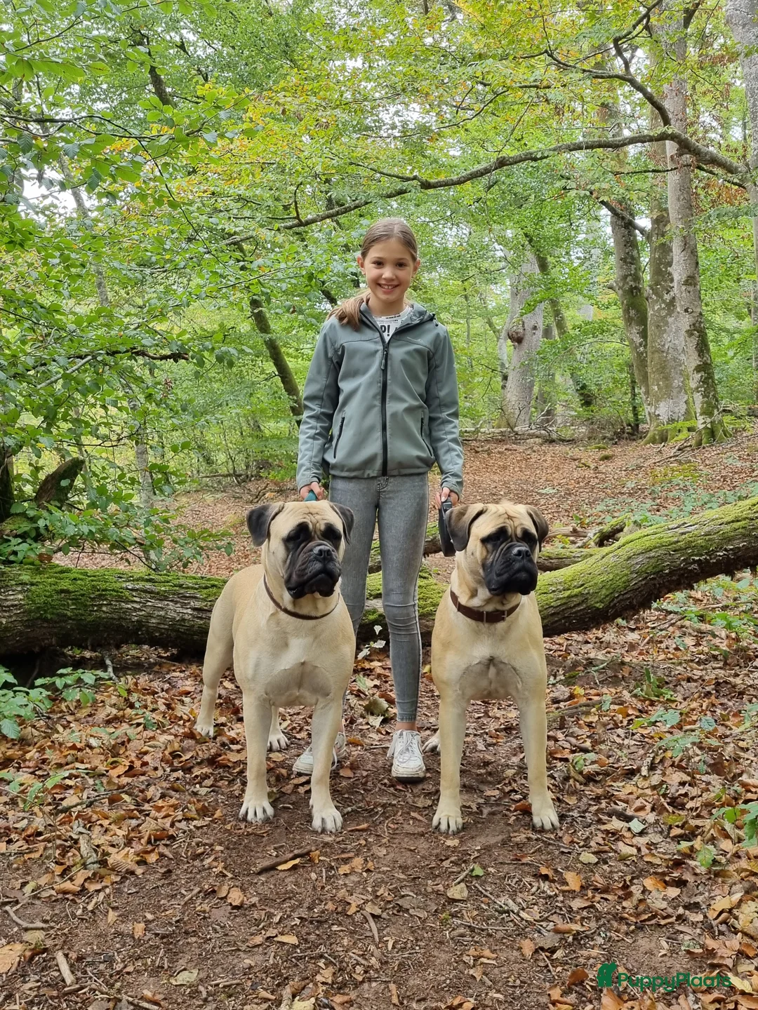 Galerij afbeelding {{count}}