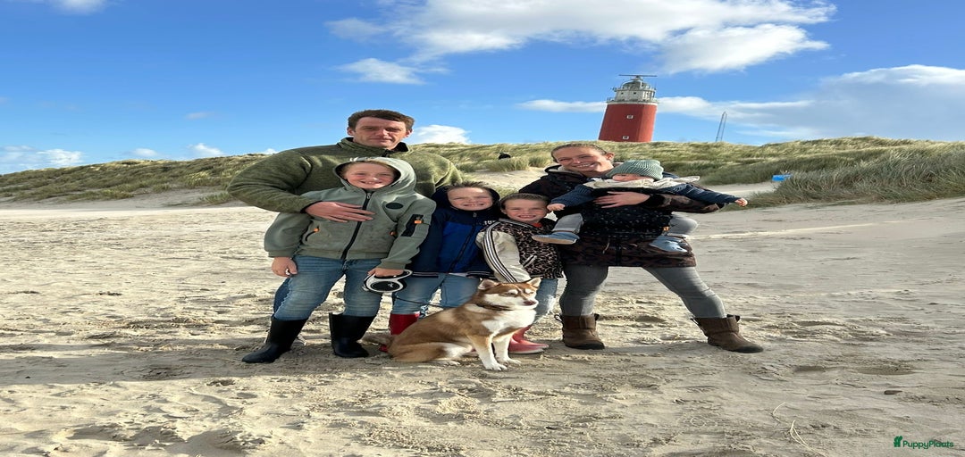 Galerij afbeelding {{count}}