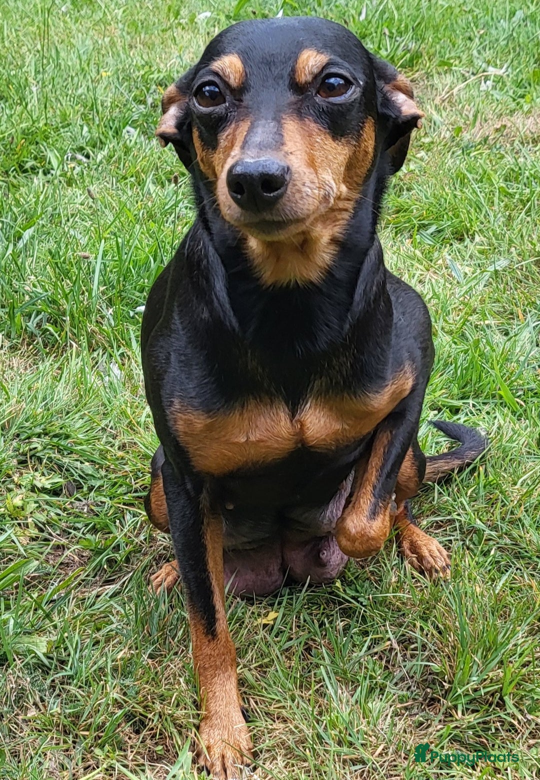 Galerij afbeelding {{count}}