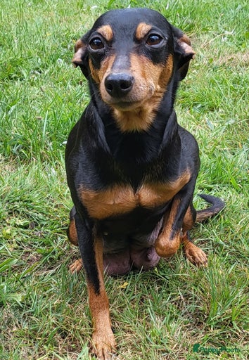 Galerij afbeelding {{count}}