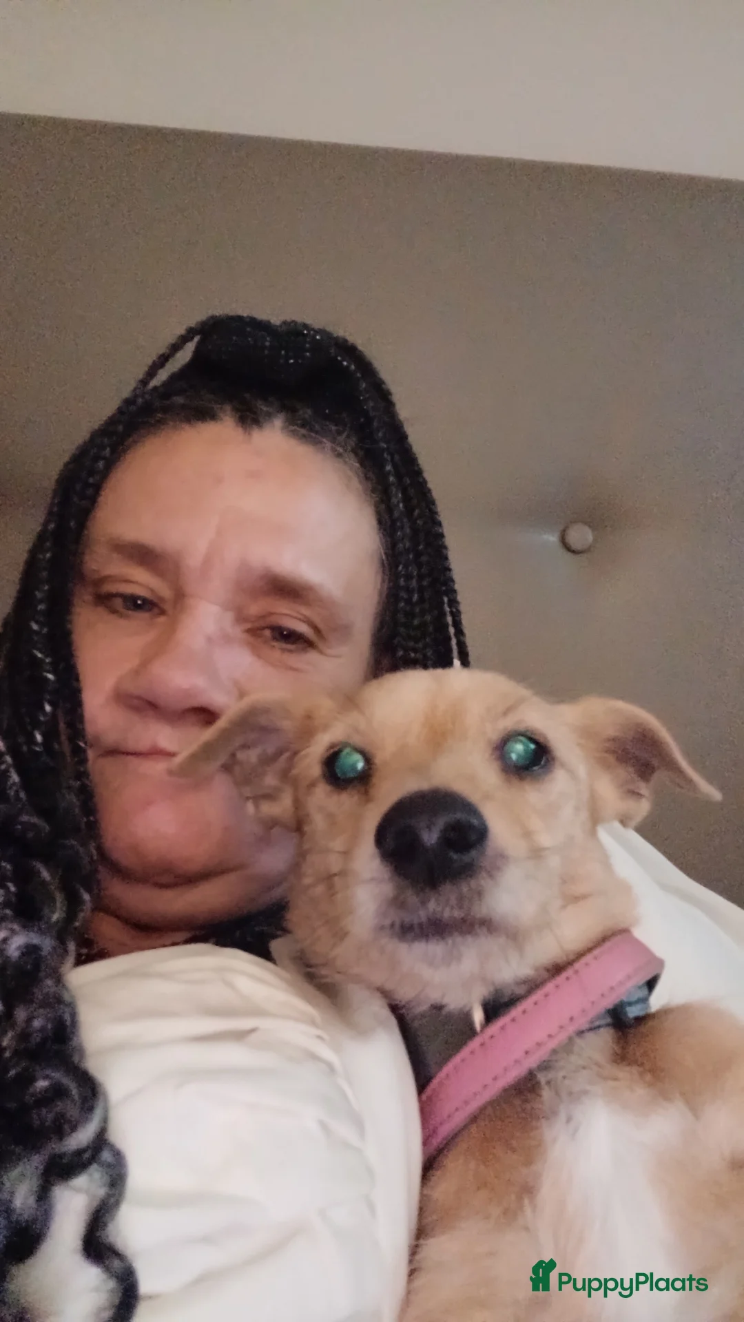 Galerij afbeelding {{count}}