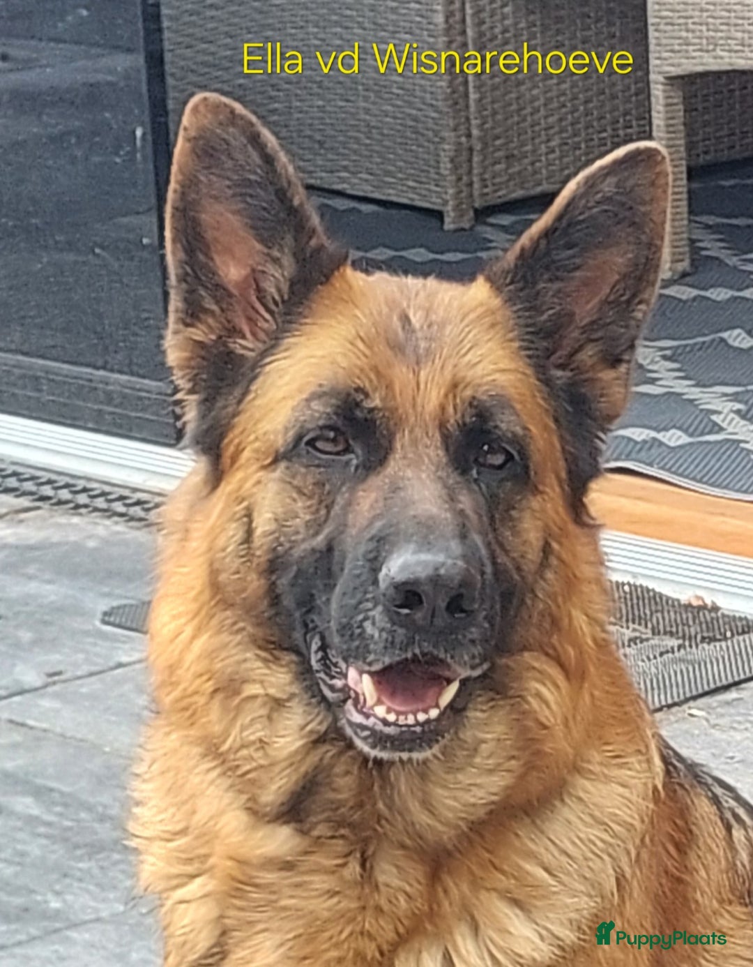 Galerij afbeelding {{count}}