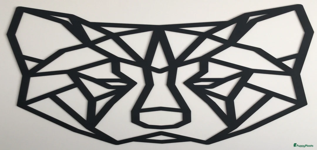 Galerij afbeelding {{count}}