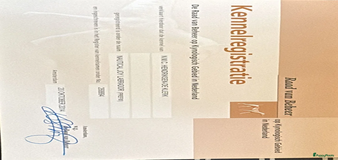 Galerij afbeelding {{count}}