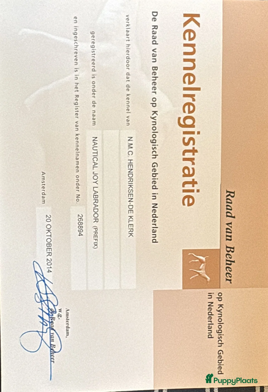 Galerij afbeelding {{count}}