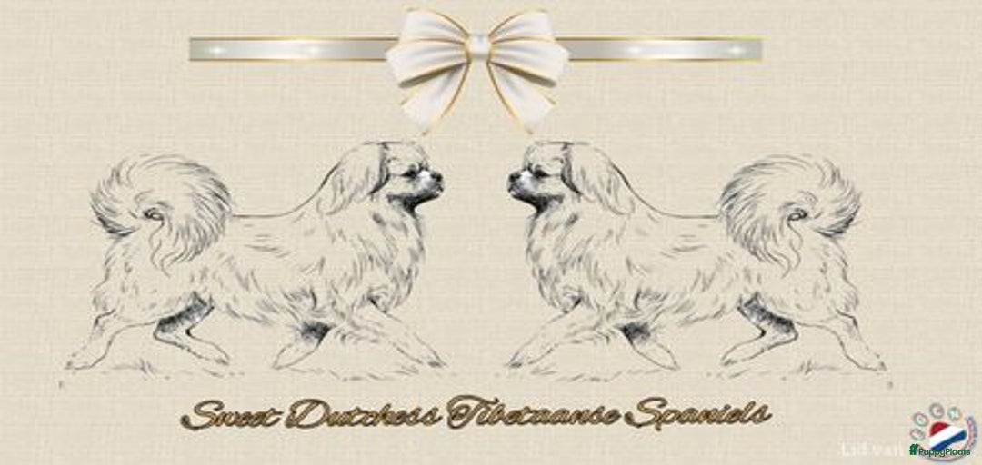 Galerij afbeelding {{count}}