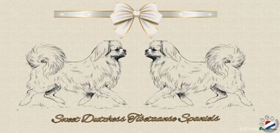 Galerij afbeelding {{count}}