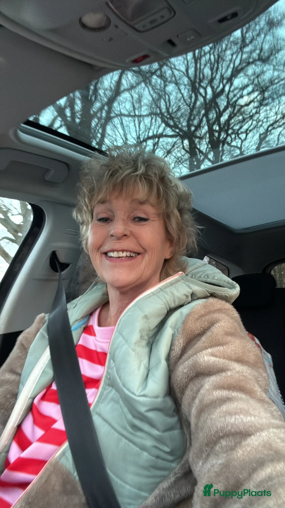 Galerij afbeelding {{count}}