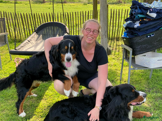 Berner Sennenhond honden Berner Sennenpups - Advertentie 4