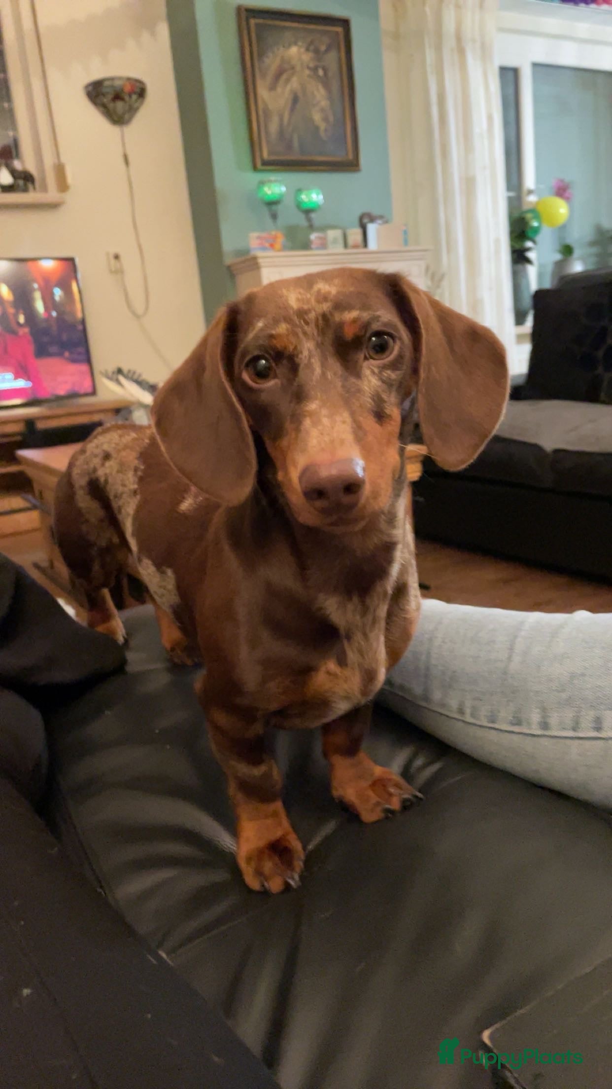 Zoë