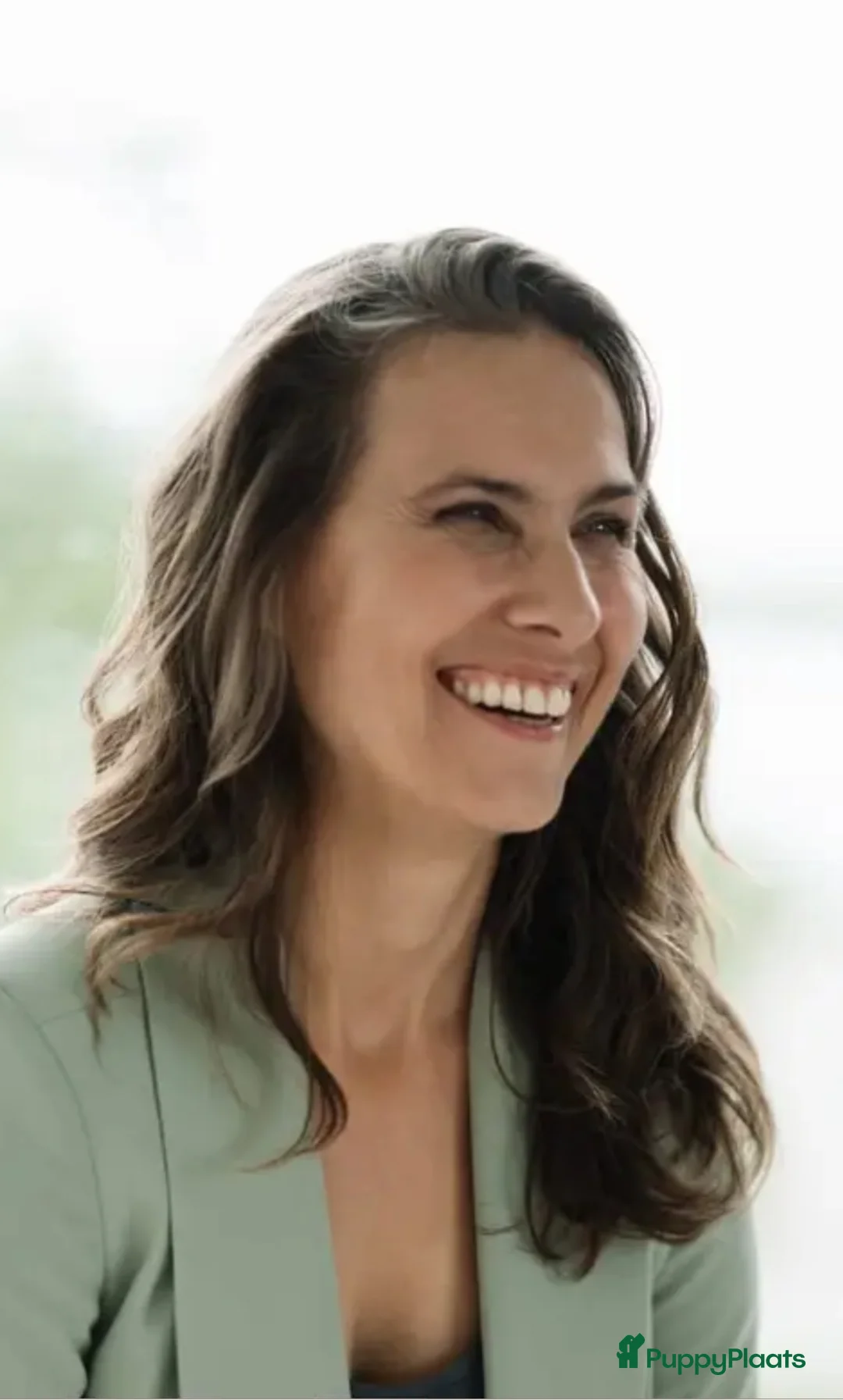 Galerij afbeelding {{count}}