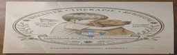 Vizsla korthaar honden te koop: Kortharige Hongaarse Vizsla-pups - Advertentie 20