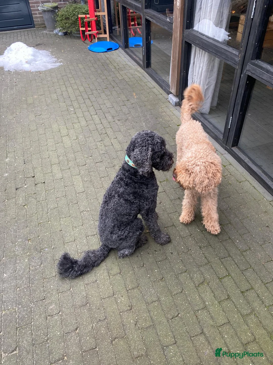 Galerij afbeelding {{count}}