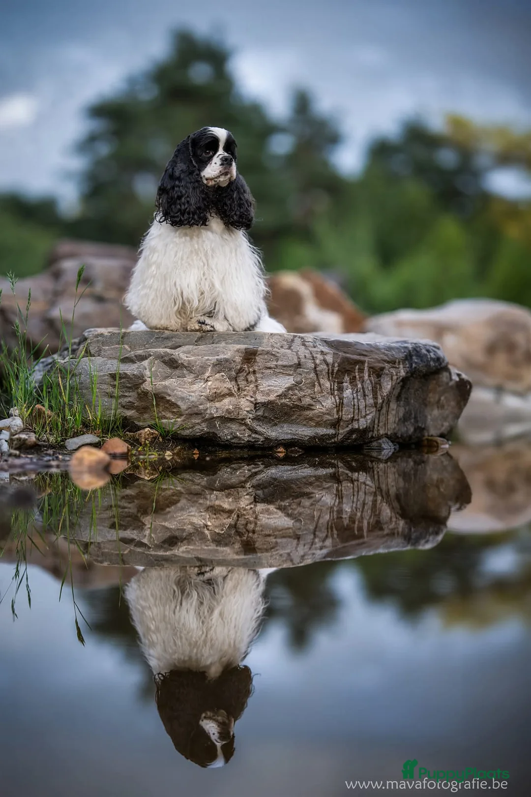 Galerij afbeelding {{count}}